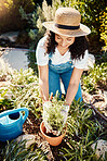 Spring, plants and smile, woman gardening in sun for eco friendly hobby and sustainable weekend time. Flowers, agriculture and growth, happy gardener planting bush in pot in backyard garden in Brazil