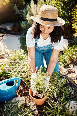 Buy stock photo Spring, plants and smile, woman gardening in sun for eco friendly hobby and sustainable weekend time. Flowers, agriculture and growth, happy gardener planting bush in pot in backyard garden in Brazil