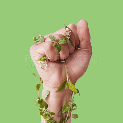 Buy stock photo Hand, plants and growth with a person in studio on a green background posing fist clenched for ecology. Nature, spring and flowers growing around the arm or wrist for eco friendly sustainability
