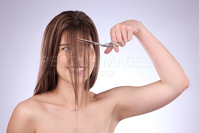 Buy stock photo Beauty, grooming and woman cutting her hair in studio on a gray background for style or care. Salon, shampoo and haircut with an attractive young female trimming her hairstyle for haircare