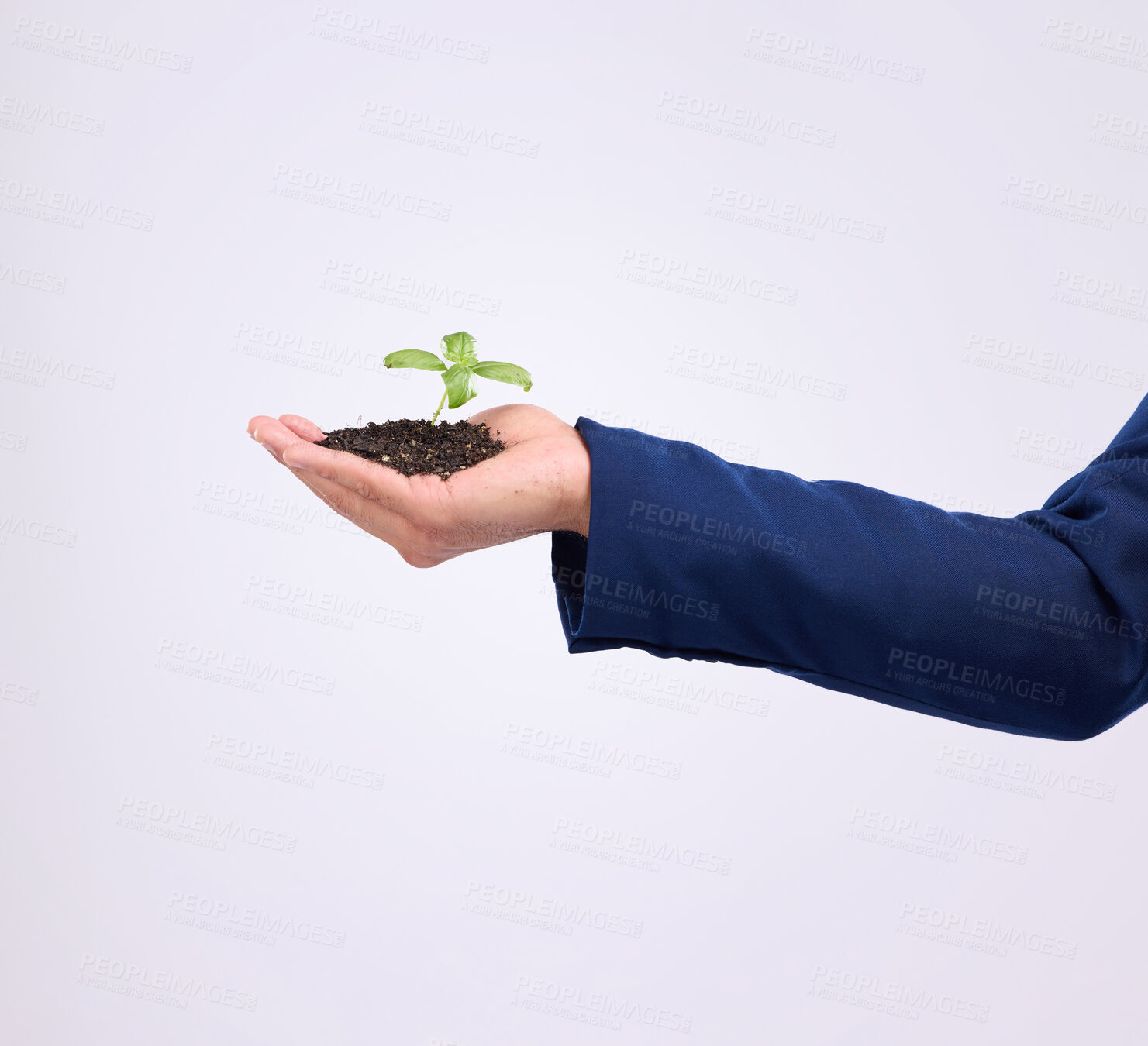 Buy stock photo Plant in person hand for business growth isolated on white background, eco friendly investment and mockup. Sapling, man palm and sustainable career, sustainability and green startup in studio space
