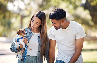 Buy stock photo Couple, holding puppy and walking in park for sunshine, summer or care for happiness, talk and bond. Man, woman and carrying small dog pet with smile, love and family in nature together for wellness