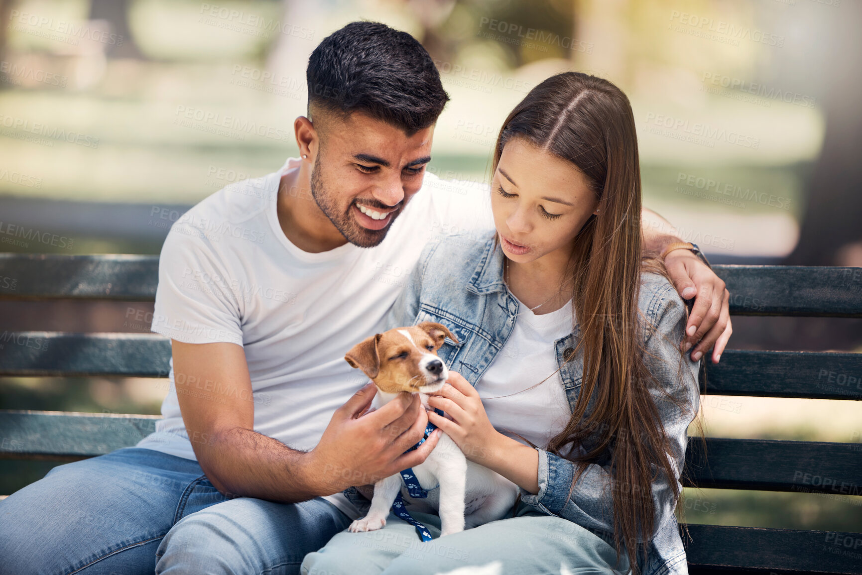 Buy stock photo Young couple, puppy and relax in park, bench and summer sunshine with happiness, care and bonding. Man, woman and small dog with touch, smile and hug for love, romance and family in nature together