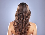 Woman, beauty and hair care in studio for curls, growth and healthy texture on blue background. Aesthetic female model back for haircare and cosmetic shine results for salon or hairdresser treatment