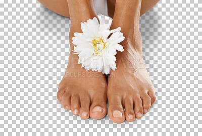 Feet, flower and natural skincare for pedicure, spa or relaxation against isolated on a png background. Isolated barefoot of toes with white floral petals for healthy treatment, body care or skin care