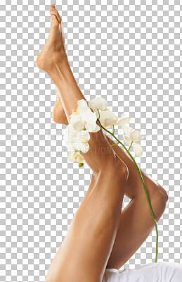 Legs, foot and flower with woman in beauty mockup, natural cosmetics, skin with skincare. Pedicure, epilation and waxing for body hair removal, glow and dermatology isolated on a png background