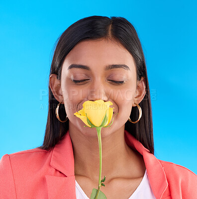 Buy stock photo Happy woman smelling a flower in a studio for a floral gift for valentines day or anniversary. Happiness, excited and Indian female model with yellow rose as present isolated by blue background.