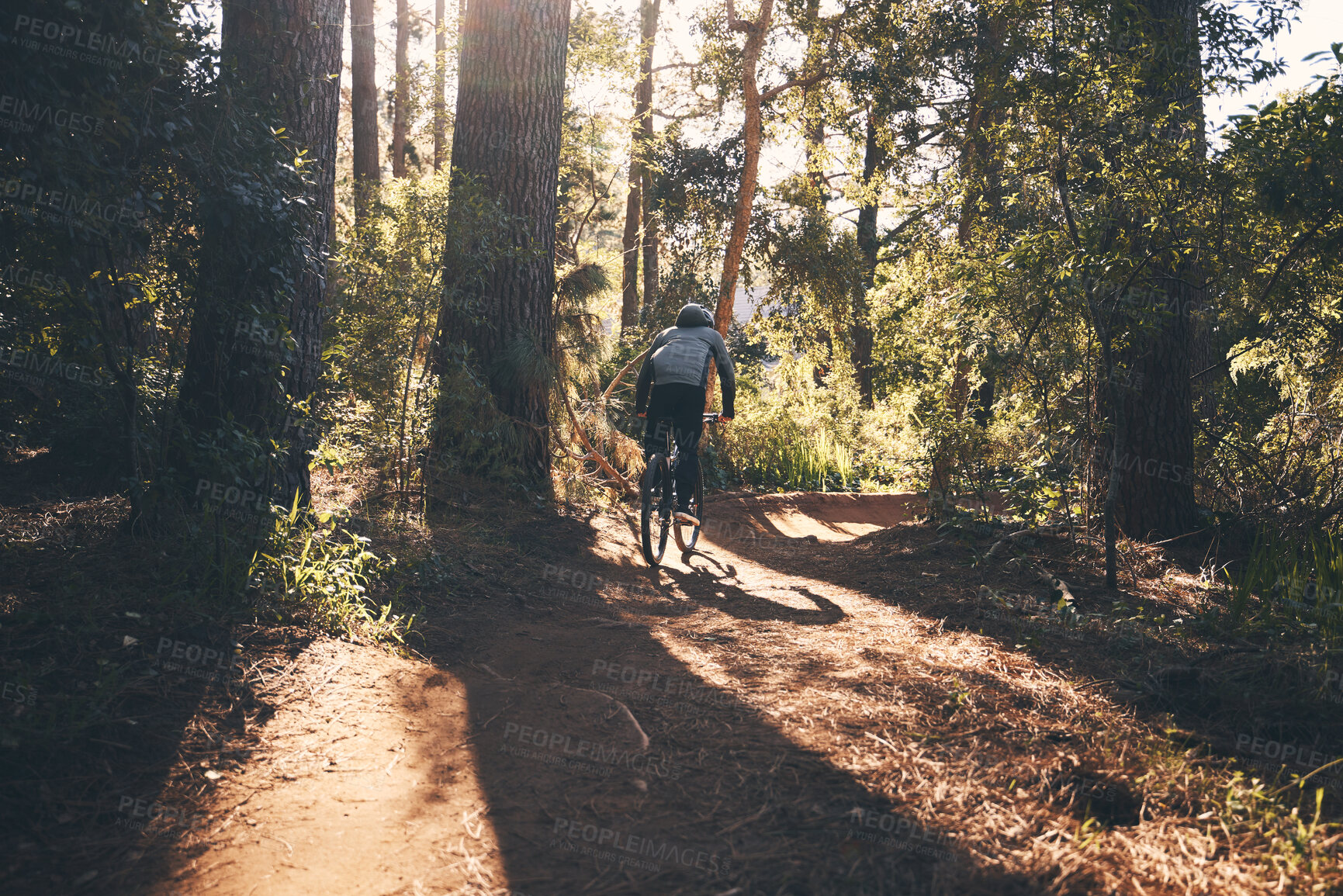 Buy stock photo Fitness, bicycle and man back outdoor on a forest path with extreme and exercise adventure. Bike, cycling and sport of an athlete with fast speed and nature cycle for sports training and race action