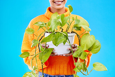 Buy stock photo Cropped woman in studio with plant, smile and happiness for house plants on blue background. Gardening, sustainable and green hobby for happy gen z girl on mockup space for eco friendly garden shop.