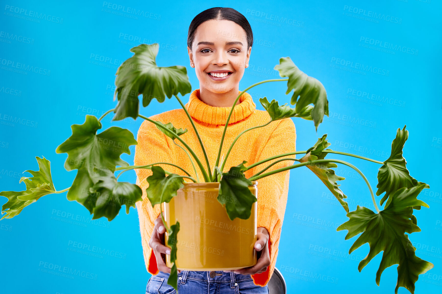 Buy stock photo Portrait of happy woman in studio with plant gift, smile and happiness for house plants on blue background. Gardening, sustainable green and hobby for gen z girl on mockup with eco friendly present