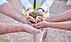 Plants, group and people hands for outdoor gardening, agriculture and business growth collaboration in teamwork. Palm, sapling soil and women and man with sustainable, agro and climate change project