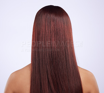 Buy stock photo Back of woman, smooth hair and beauty of shine, color dye and wig extension on studio background. Female model, head and scalp at hairdresser for healthy texture, growth shampoo and salon aesthetics