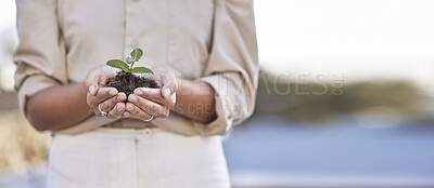 Buy stock photo Hands, seedling and business woman with space for mockup, branding or growth in startup company. Soil, plant and mock up for development, start or entrepreneurship for goal, sustainability and future