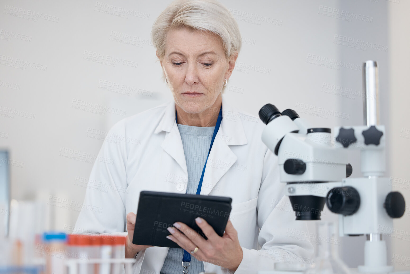 Buy stock photo Tablet, science and woman in laboratory for research or online for medical analysis with scientist results. A person in lab with mobile app for future healthcare, medicine or biotechnology innovation