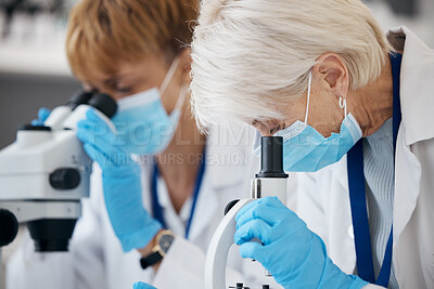 Buy stock photo Microscope, science team and analysis in a laboratory for scientist investigation or research. Expert women in lab with medical equipment for innovation, future medicine or biotechnology study