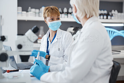 Buy stock photo Talking, science woman and in laboratory for research, investigation or collaboration. Expert scientist team in a medical lab with a face mask for innovation, future medicine or biotechnology study