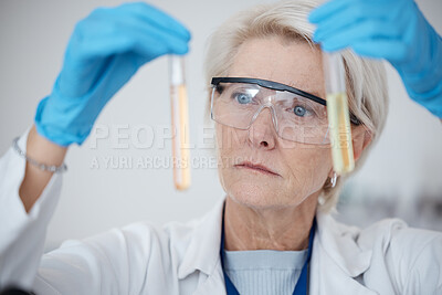 Buy stock photo Senior woman, scientist and DNA samples or chemicals for experiment or testing with gloves in laboratory. Mature female in science discovery or research with test tubes for chemistry results in lab
