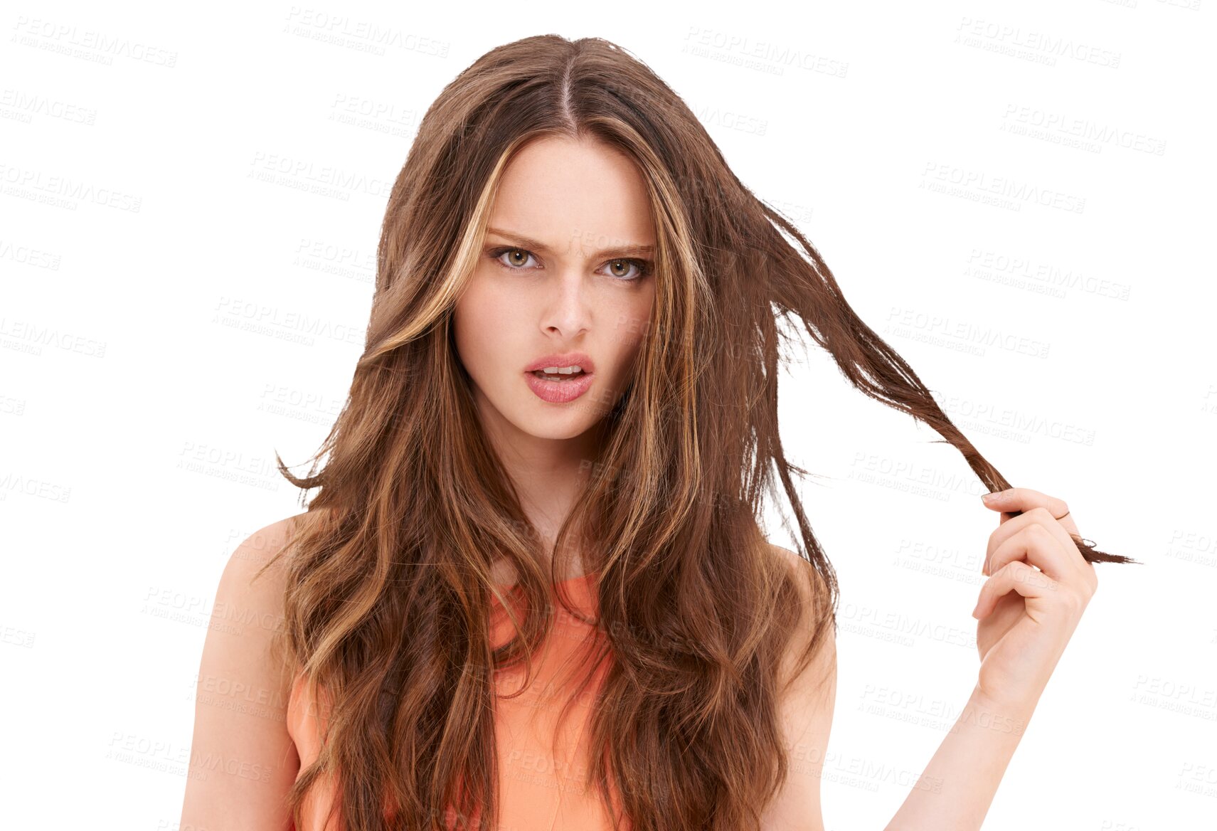 Buy stock photo Portrait, frustrated and messy hair with a woman isolated on a transparent background for shampoo treatment. Face, haircare and frizzy with an unhappy female customer at the salon for repair on PNG