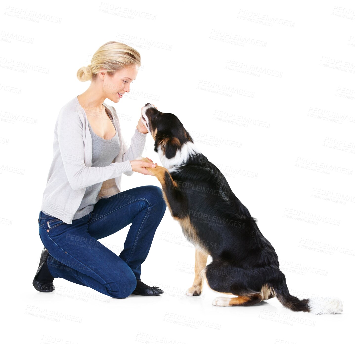 Buy stock photo Woman, dog training with play and snack, obedience and focus isolated on transparent png background. Animal relationship, trainer with pet care and reward, girl teaching pets behaviour with treats.