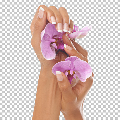 Buy stock photo Manicure, hands and nails of woman with flowers, beauty and skincare isolated on transparent png background. Closeup female, hand model and orchid of natural cosmetics, dermatology and floral plants 