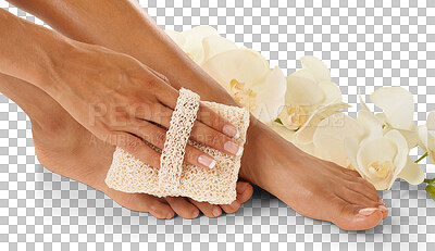 Buy stock photo Woman, beauty and foot brush to exfoliate for natural skincare isolated on transparent png background. Closeup, pedicure and orchid flowers to scrub clean feet, smooth cosmetics or aesthetic results