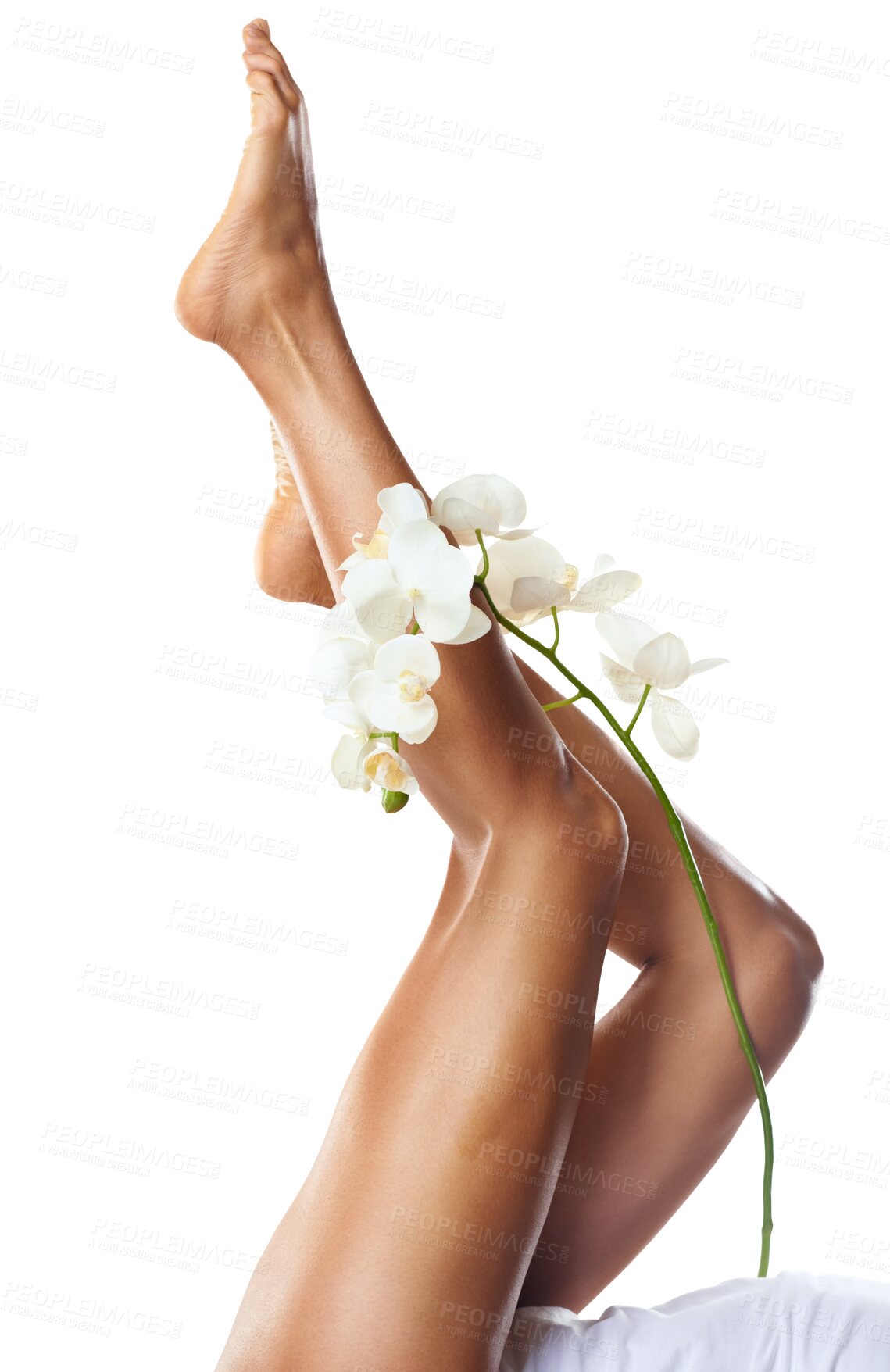 Buy stock photo Woman, beauty and orchid on legs for natural skincare isolated on transparent png background. Closeup, pedicure and flowers for eco plant cosmetics, aesthetic pedicure and laser hair removal results