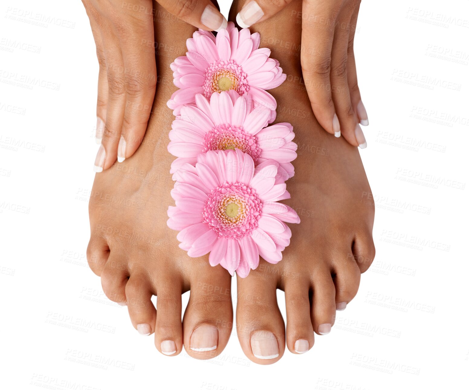 Buy stock photo Woman, feet and top view of pedicure with flowers, natural skincare and isolated on transparent png background. Closeup, beauty and barefoot of floral daisy plants, wellness or healthy nail cosmetics