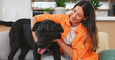 Woman, dog jumping on sofa in living room and fun, love and happy friendship with pets at home. Friends, quality time with pet and happiness, relax and petting animal on couch in apartment together.
