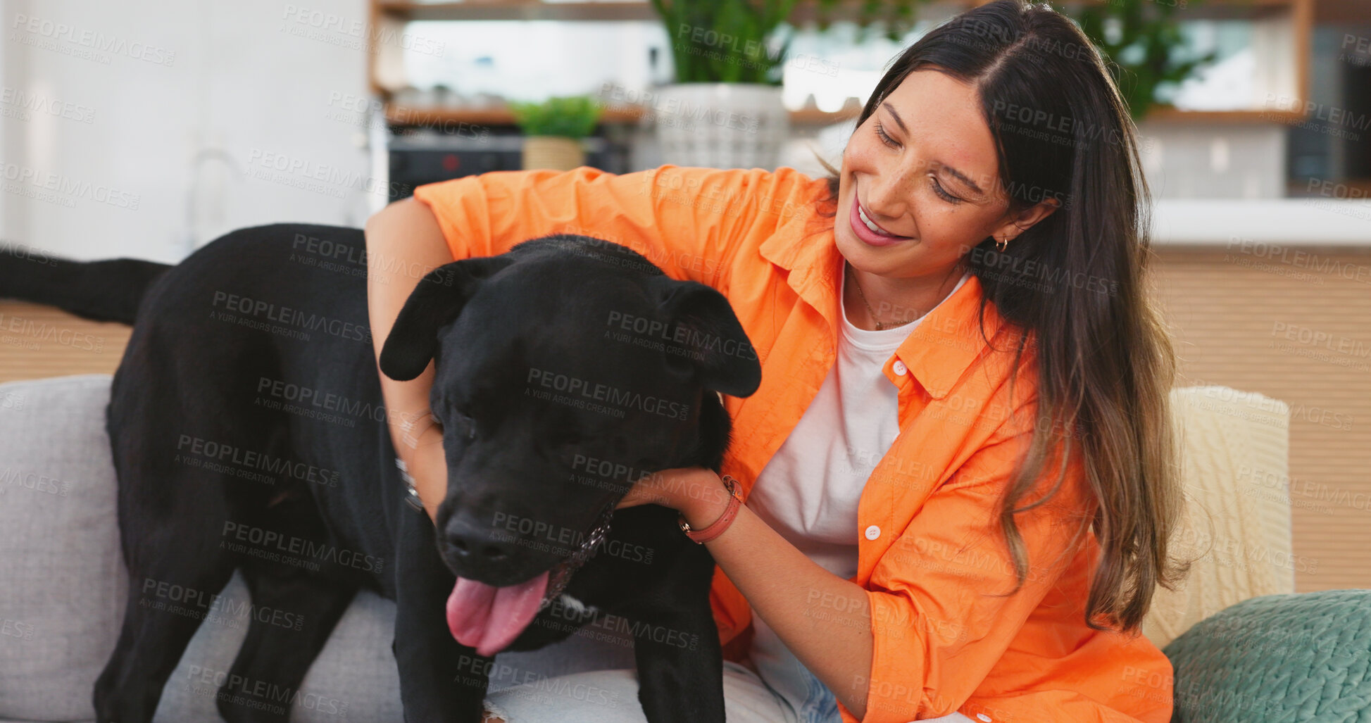 Buy stock photo Friends, playing and woman with dog on sofa for bonding, petting and hug in living room together. Pets, domestic animal and happy person with labrador on couch for embrace, fun and friendship at home