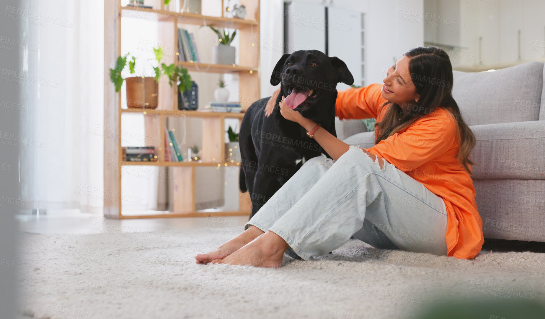 Buy stock photo Living room, dog and woman care for pet in a lounge with love for puppy in a house or apartment together with animal. Happy, relax and young person enjoy freedom with happiness, play and bonding