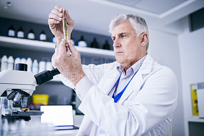 Buy stock photo Scientist, experiment and man with syringe in laboratory, research or development of medical science. Elderly biologist, medicine innovation and working on chemical, pharmaceutical or injection