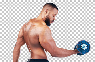 Black man, fitness and bodybuilder, weightlifting with dumbbell and biceps with muscle training on blue background. Health, strong and power, male flexing arms and workout with challenge in studio