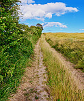 Road, path and countryside with travel, green and nature with direction, destination and farm field. Blue sky, land and drive way with grass and bush, journey and traveling view with environment