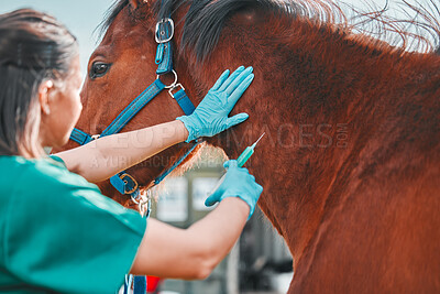 Pics of Horse, woman veterinary and injection outdoor for health and wellness on in the countryside. Doctor, professional nurse or vet person with an animal for help, medicine and medical care at a ranch, stock photo, images and stock photography PeopleIm