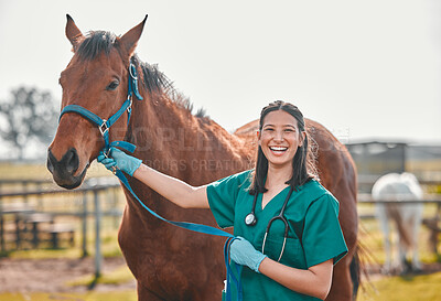Pics of Horse, woman veterinary and portrait outdoor for health and wellness in the countryside. Happy doctor, professional nurse or vet person with an animal for help, healthcare and medical care at a ranch, stock photo, images and stock photography Peop