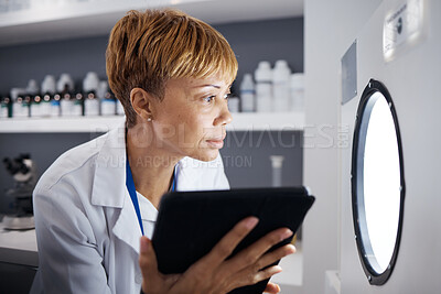 Buy stock photo Scientist, tablet and woman in laboratory with incubator machine for test, analysis or research study. Technology, medical professional and doctor of science check equipment for biology experiment.