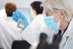 Science, sample and a senior doctor woman at work in a laboratory for research or innovation in healthcare. Face, covid mask and a mature female scientist working in a lab for medical development
