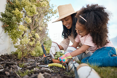 Buy stock photo Gardening, mother and child with plant in backyard for learning environmental, organic and nature skills. Landscaping, family and happy girl with mom planting sprout in soil, dirt and earth together