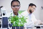 Plants, science or black woman writing for research, cannabis inspection or sustainability innovation. African scientist in laboratory for leaf growth notes, weed data analysis or floral analytics 