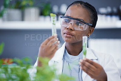 Buy stock photo Plants, thinking and science woman for test tube, solution or analysis of medical research or growth test. African person or scientist with laboratory weed, pharmaceutical benefits or health medicine