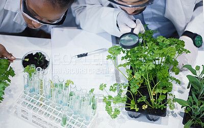 Buy stock photo Plants, teamwork or scientists with magnifying glass or test tube for soil growth or medicine research in lab. Leaf data, study or science team with sample for agriculture development or environment 