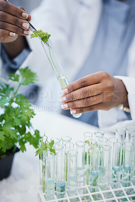 Buy stock photo Hands, plant and scientist in laboratory with test tubes, experiment or research on leaves, growth or agriculture study. Science, biotechnology worker or education studying ecology or climate change