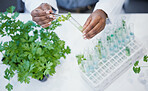 Plant, hands and scientist in laboratory with test tubes, experiment or research on leaves, growth or agriculture study. Science, biotechnology worker or education studying ecology or climate change