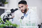 Plant science, microscope and man in a lab with sustainability test tube and botany research. Leaf growth, study and male scientist with tech for agriculture development and environment analytics