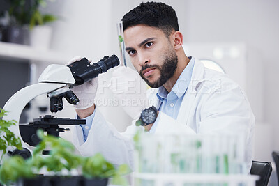 Buy stock photo Plant science, microscope and man in a lab with sustainability test tube and botany research. Leaf growth, study and male scientist with tech for agriculture development and environment analytics