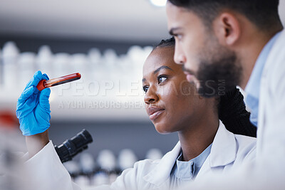 Buy stock photo Science, blood test and team of scientists in lab working on medical experiment, study or exam. Biotechnology, pharmaceutical and researchers in collaboration doing scientific research in laboratory.