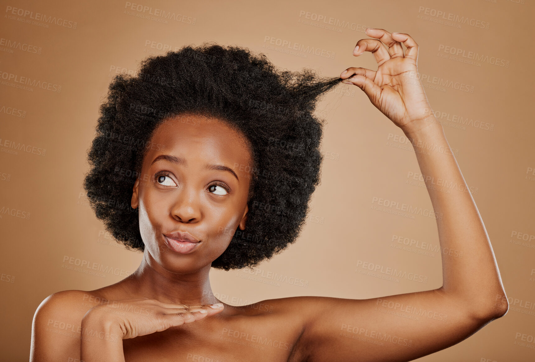 Buy stock photo Hair care, black woman and natural afro for beauty in studio isolated on a brown background. Growth, hairstyle and African female model pose with cosmetics after salon treatment for healthy wellness