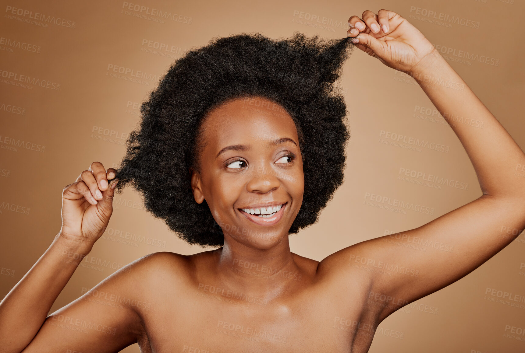 Buy stock photo Happy, black woman and hair care for afro, beauty and wellness in studio isolated on brown background. Growth, curly hairstyle or African model with natural cosmetics after salon treatment for health