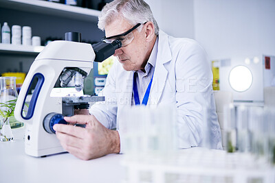 Buy stock photo Senior scientist, man and microscope, analysis and science study with medical research and biotechnology in lab. Male person, doctor and pathology, check test sample with scientific experiment