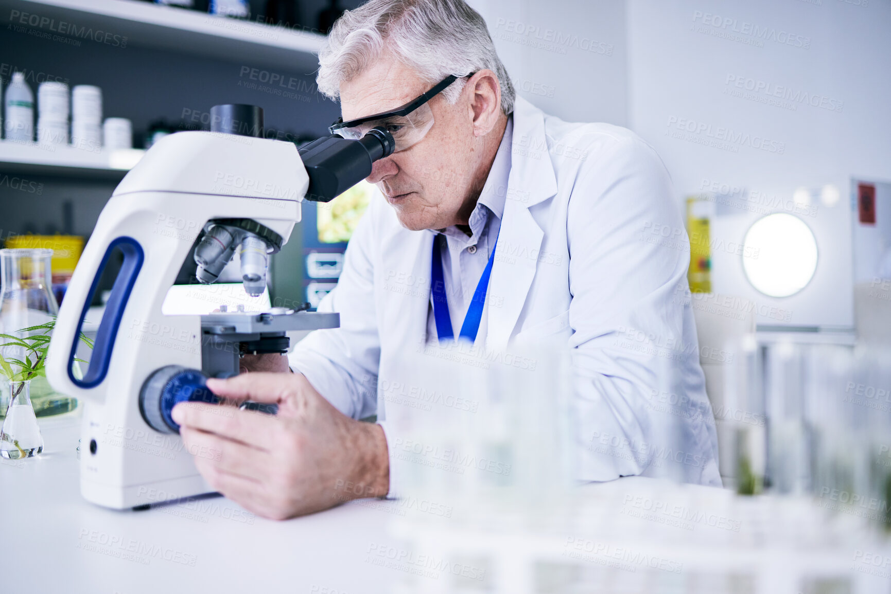 Buy stock photo Senior scientist, man and microscope, analysis and science study with medical research and biotechnology in lab. Male person, doctor and pathology, check test sample with scientific experiment